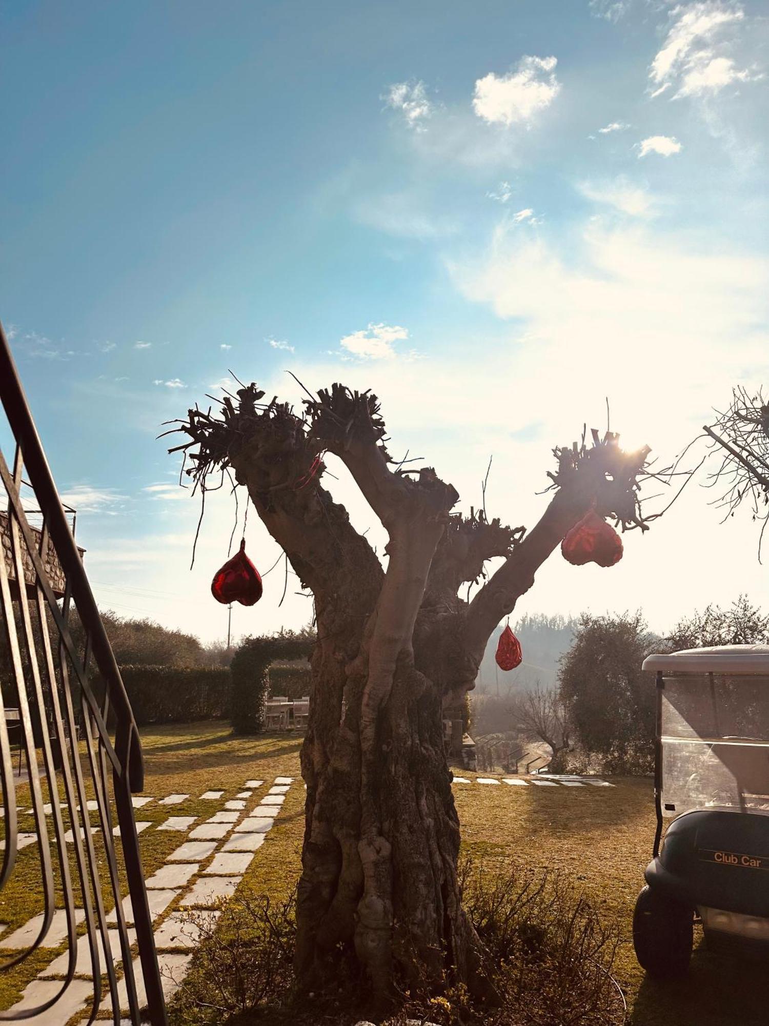 Holiday Home Sovenigo Пуеняго Екстериор снимка