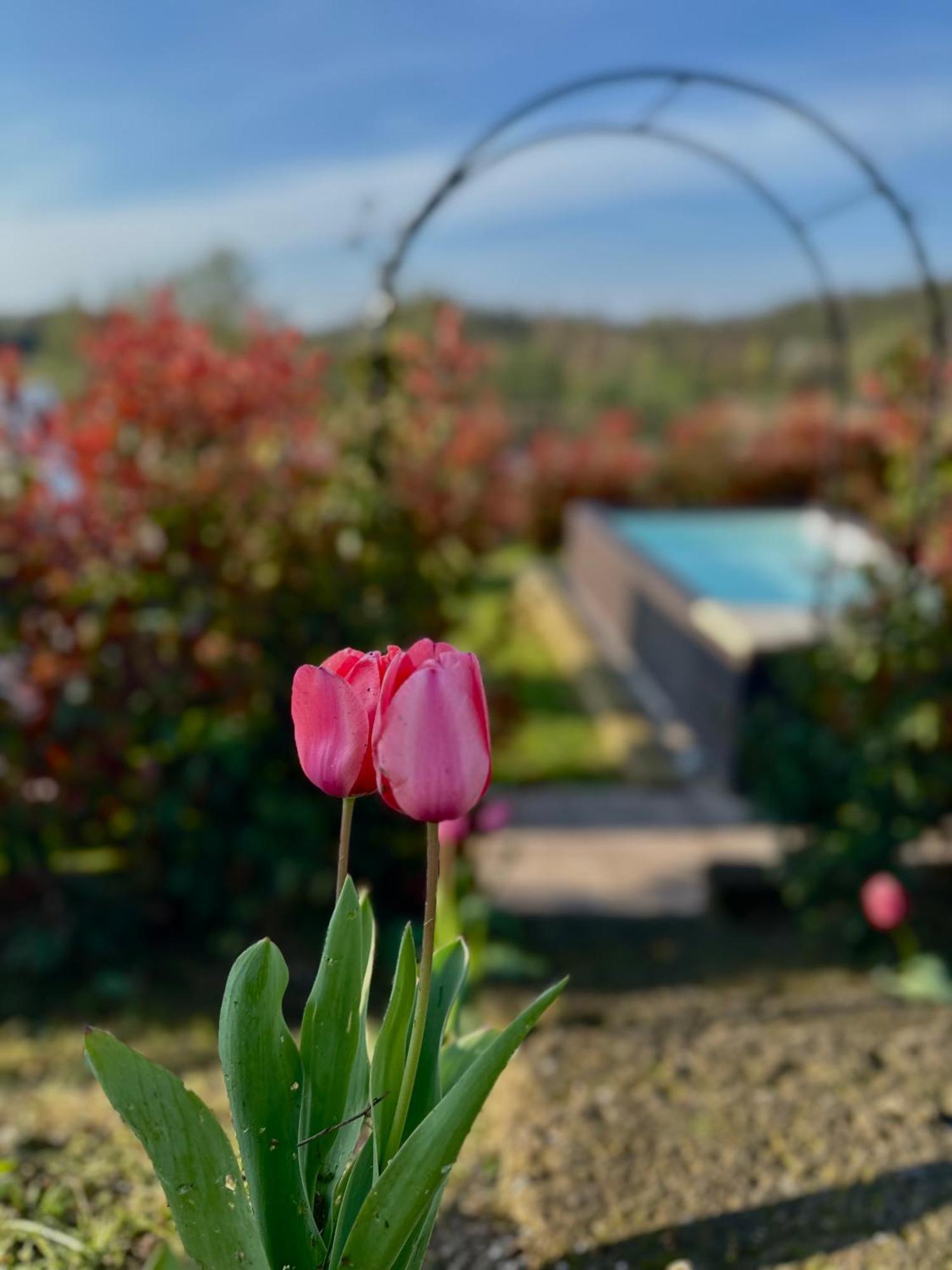 Holiday Home Sovenigo Пуеняго Екстериор снимка